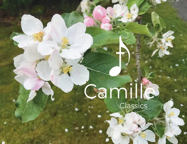 Ave Maria, Schubert: Accompaniment