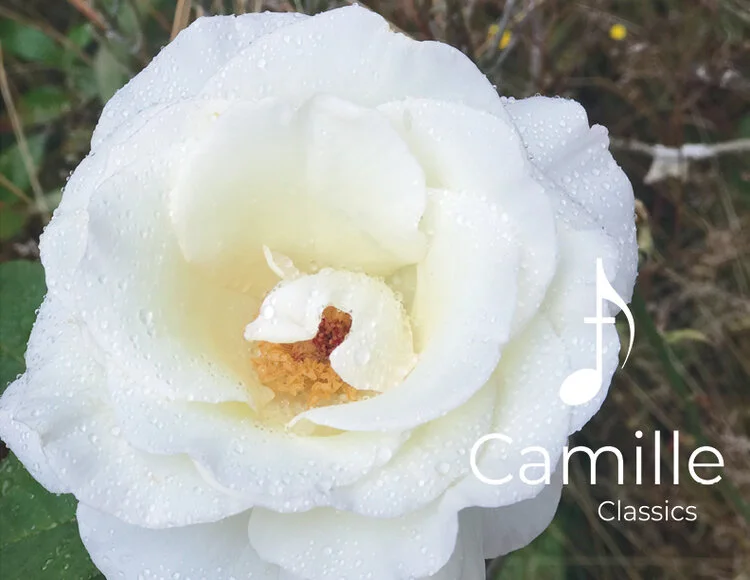 Tis' the Last Rose of Summer: Accompaniment