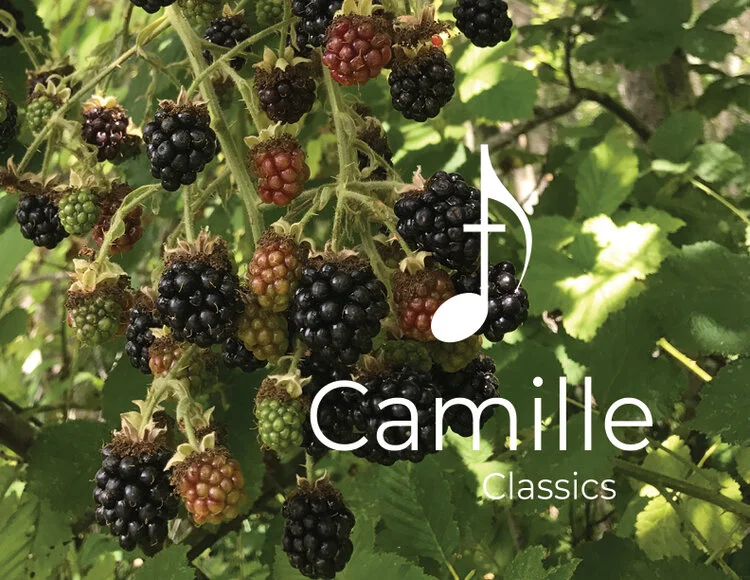 La' ci Darem la Mano, Mozart: Accompaniment 