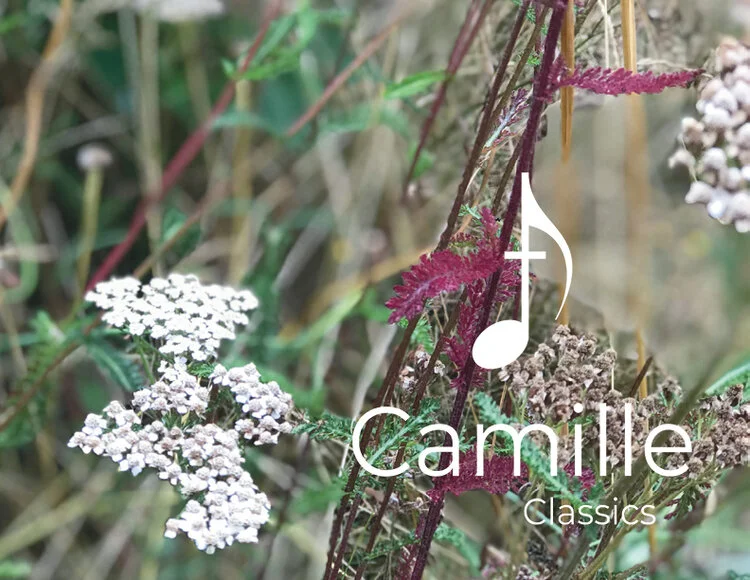 Edelweiss, Rogers &amp; Hammerstein: Accompaniment