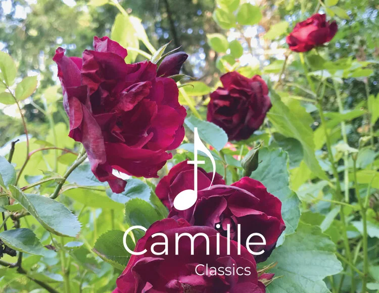 Ave Maria, Mozart: Accompaniment