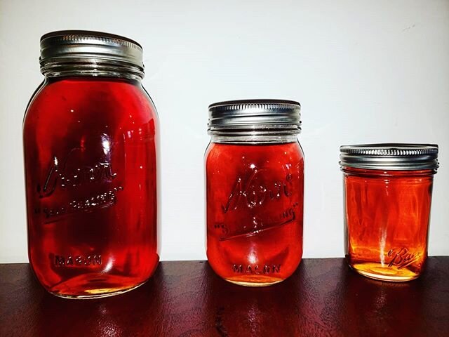 Wild Rose Treacle is back! I have available 5 half pints (8oz) for $12 each, 3 pints (16oz) for $18, and 1 quart (32oz) for $25, only ingredients is water, sugar, and rose. Treacle is a honey like sugar syrup, can be used in baking, teas, on ice crea