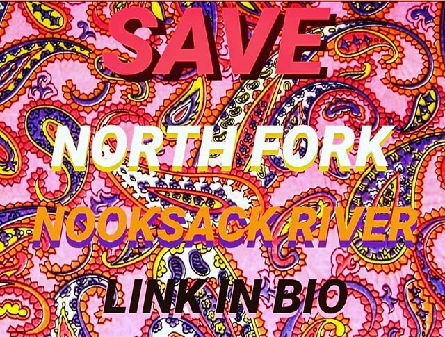‼BELLINGHAM‼ (and anyone anywhere) this is a huge issue! Please go to the link in my bio and write our forest service to block a new push for logging in the North Fork Nooksack river area, what they are attempting to do would be a disaster for our lo