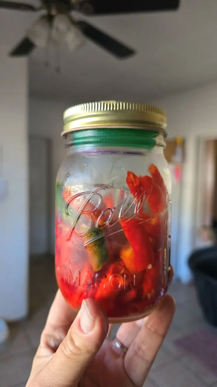 jarofcayennepeppersinsaltbrine.jpg