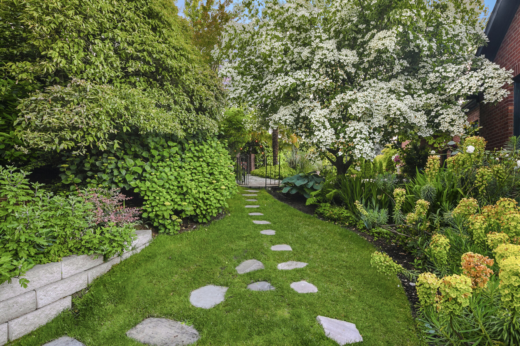  Multiple spectacular settings for entertaining include the stone pathway along the west side of the the property through mature plantings toward Lake Washington.    