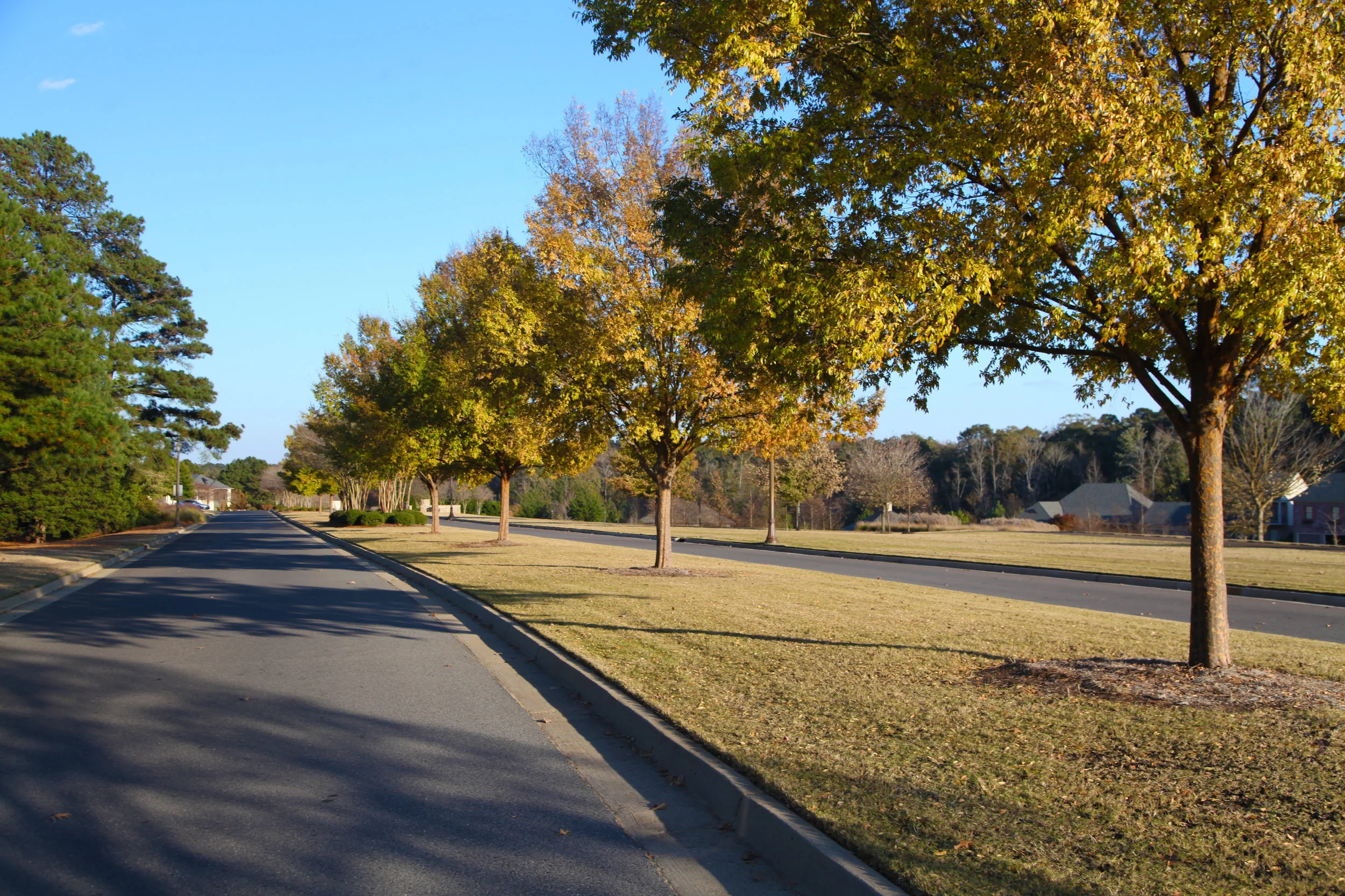 2014_11_19_9999_364 squirecreek street.jpg