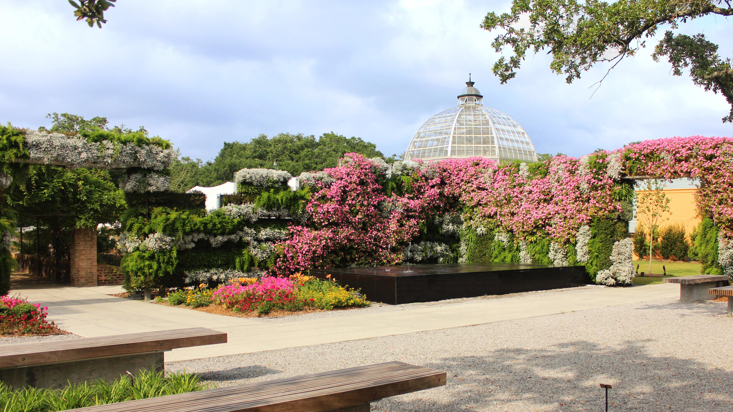New Orleans Botanical Garden Arrival Court Carbo Landscape