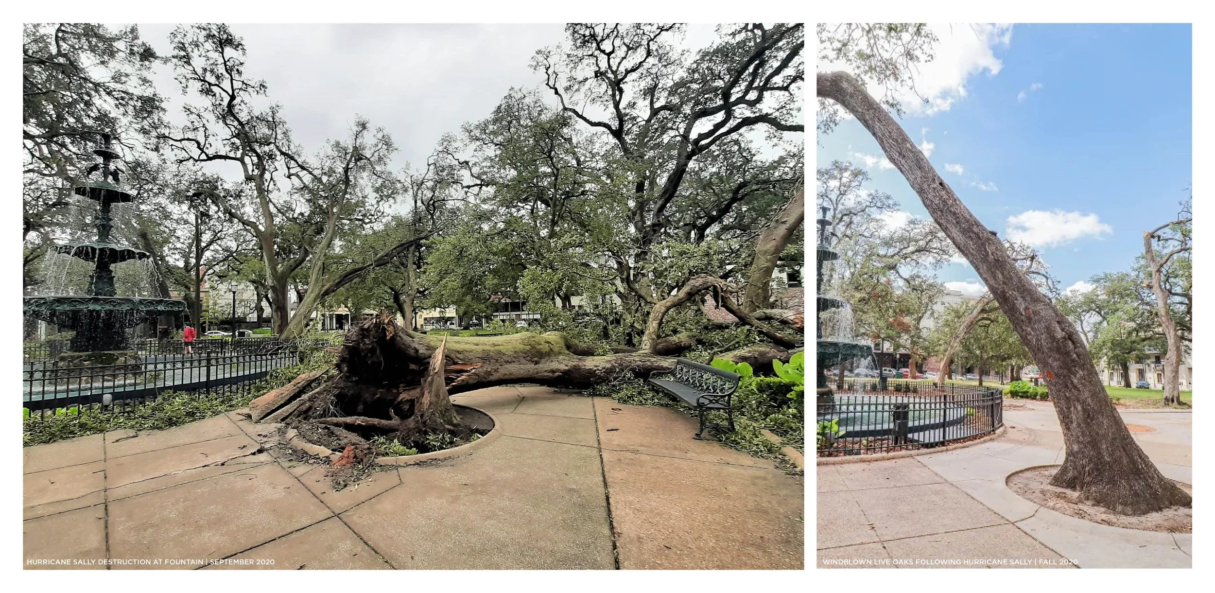 Bienville Square_Image4.jpg