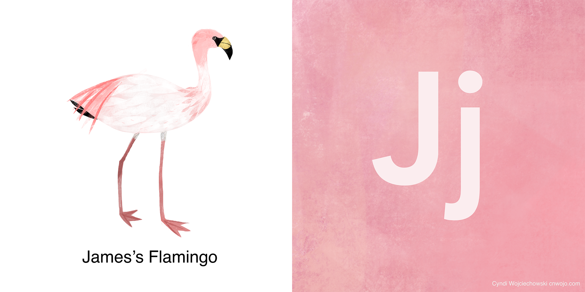 ABC BIRDS J.png