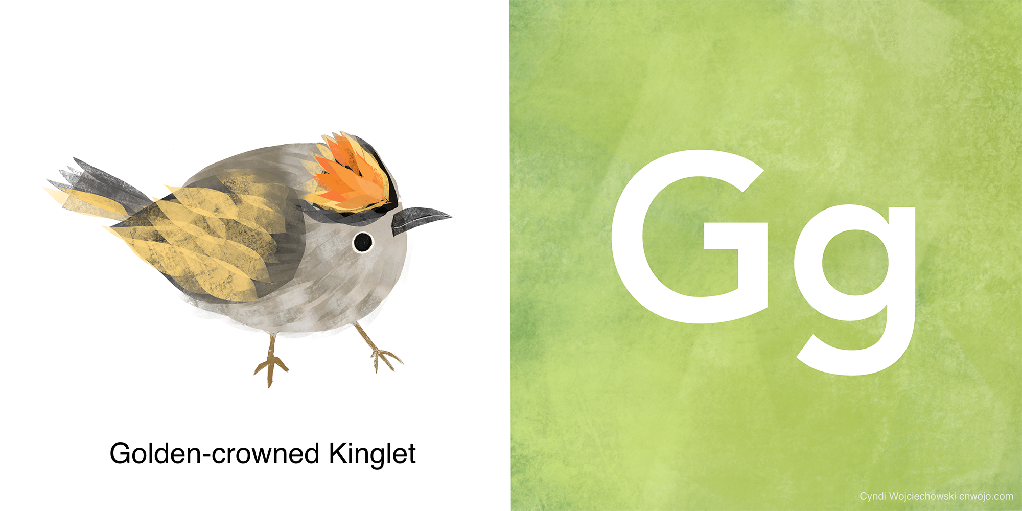 ABC BIRDS G.png