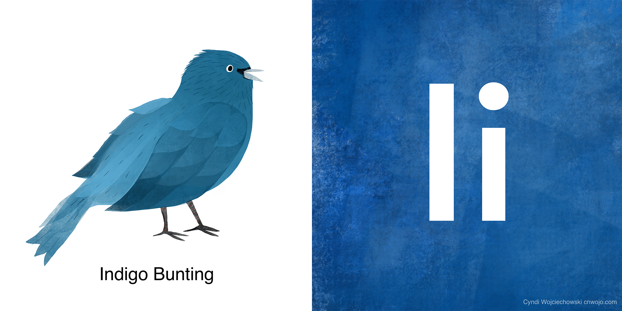 ABC BIRDS I.png