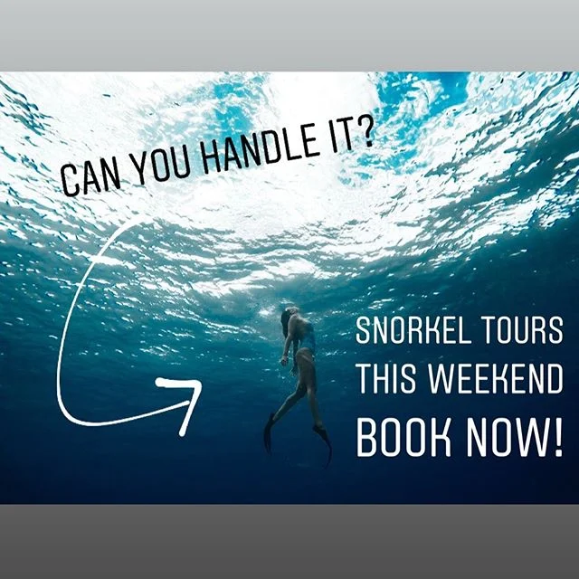 BRING YOUR OWN STOKE OR STOKE WILL BE PROVIDED FOR YOU #YEWWW check website in bio to book