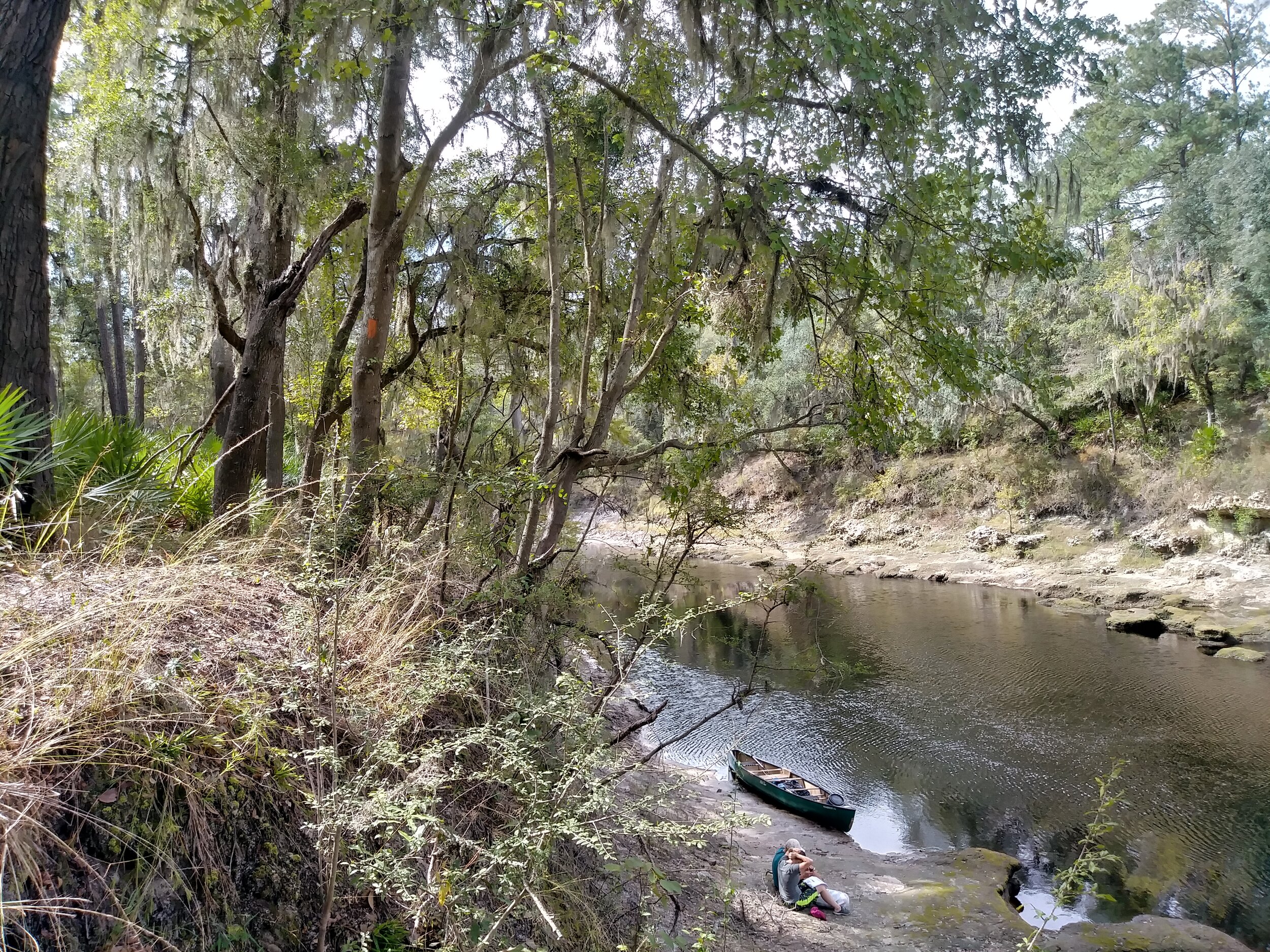 A PARTNERSHIP TRIP ON THE OKEFENOKEE SWAMP & SUWANNEE RIVER