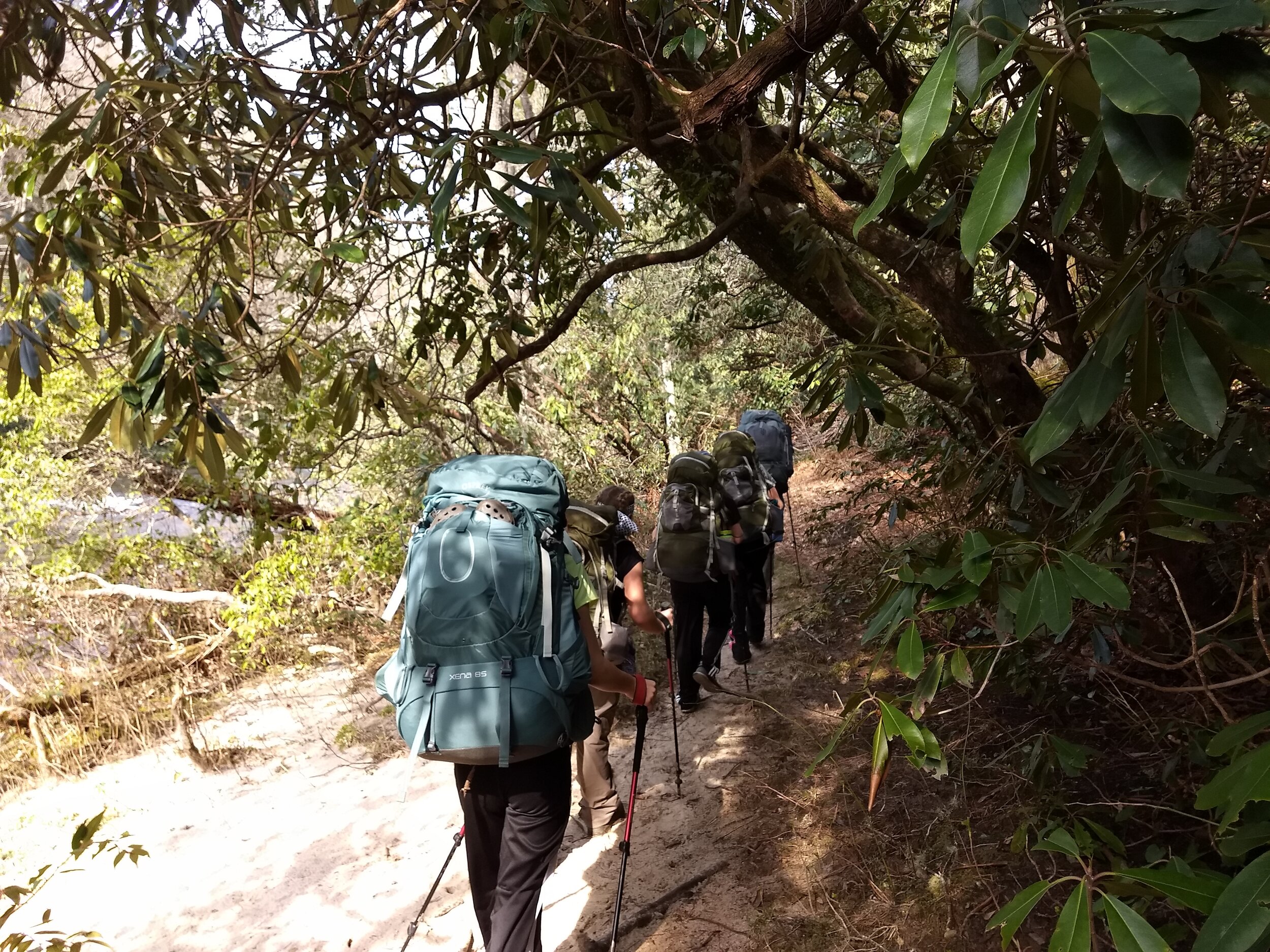 HIGH SCHOOL HIKE ON THE CHATTOOGA RIVER TRAIL