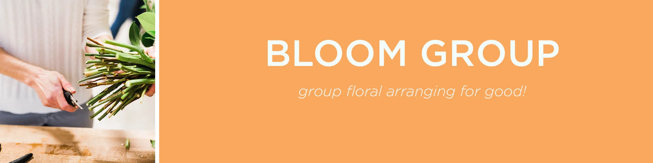 BloomGroup.jpg