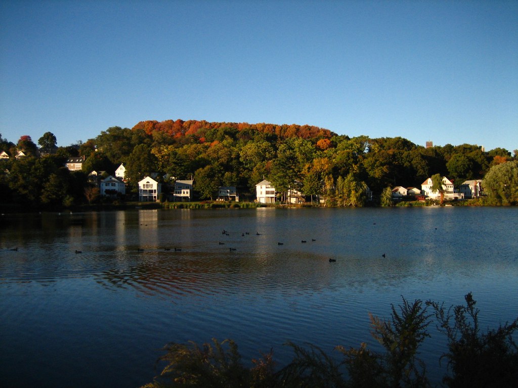 2336862968_66440cced7_b.jpg