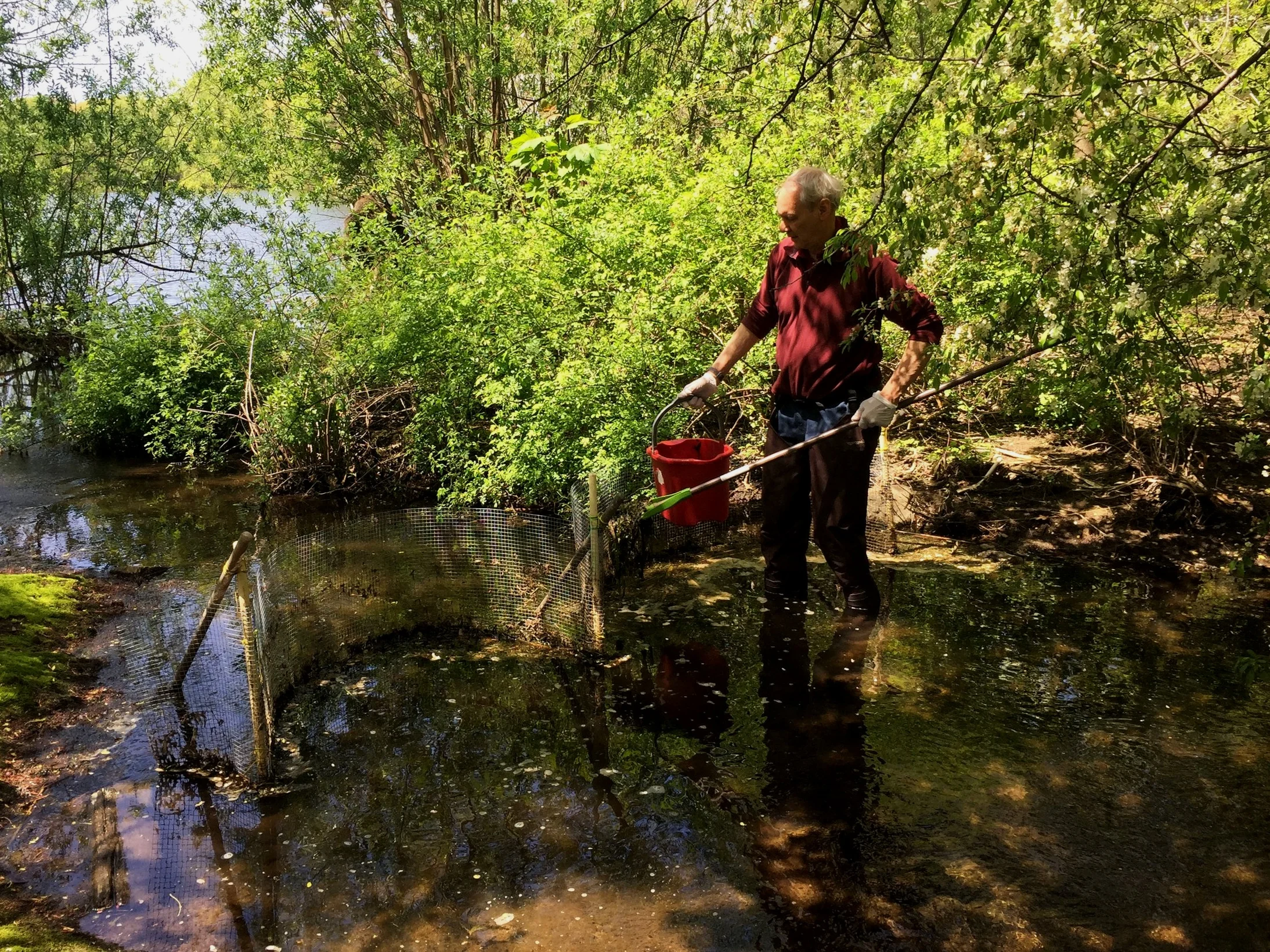 Bill-milfoil.jpg