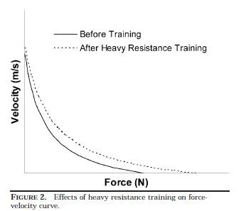 Effects-of-Heavy-Strength-Training.jpg