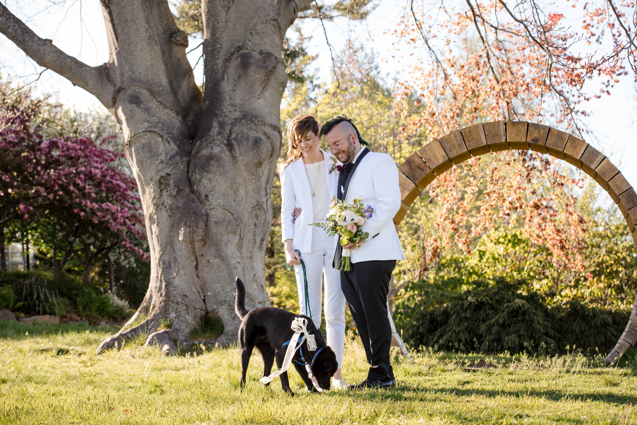 Marriers hug and celebrate with their pet dog after ceremony at Roger Williams Botanical Center Providence Rhode Island Michelle Schapiro New England Family Photographer