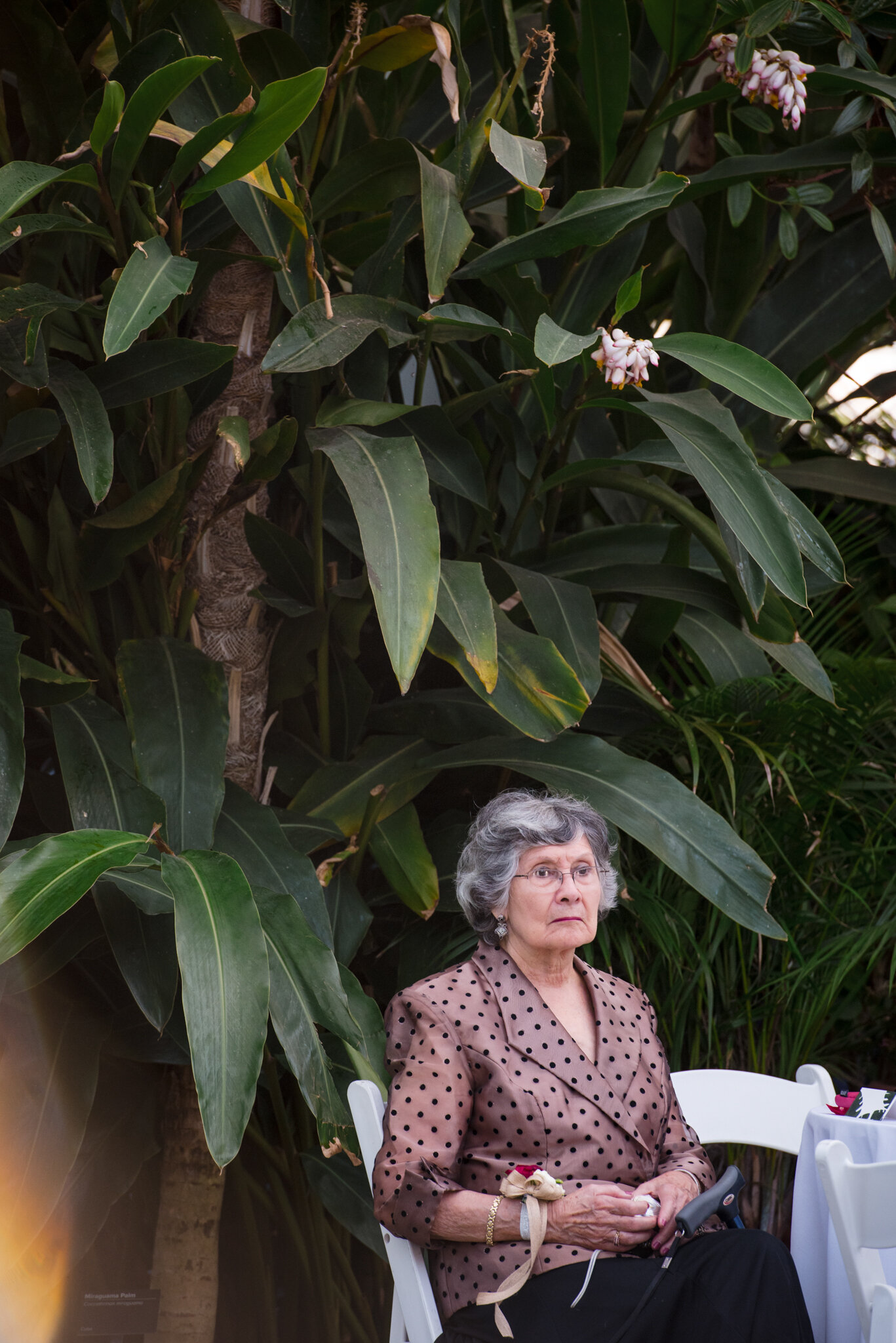 Wedding guest looks on at dancers during reception at Roger Williams Botanical Center Providence Rhode Island Michelle Schapiro New England LGBTQ Photographer