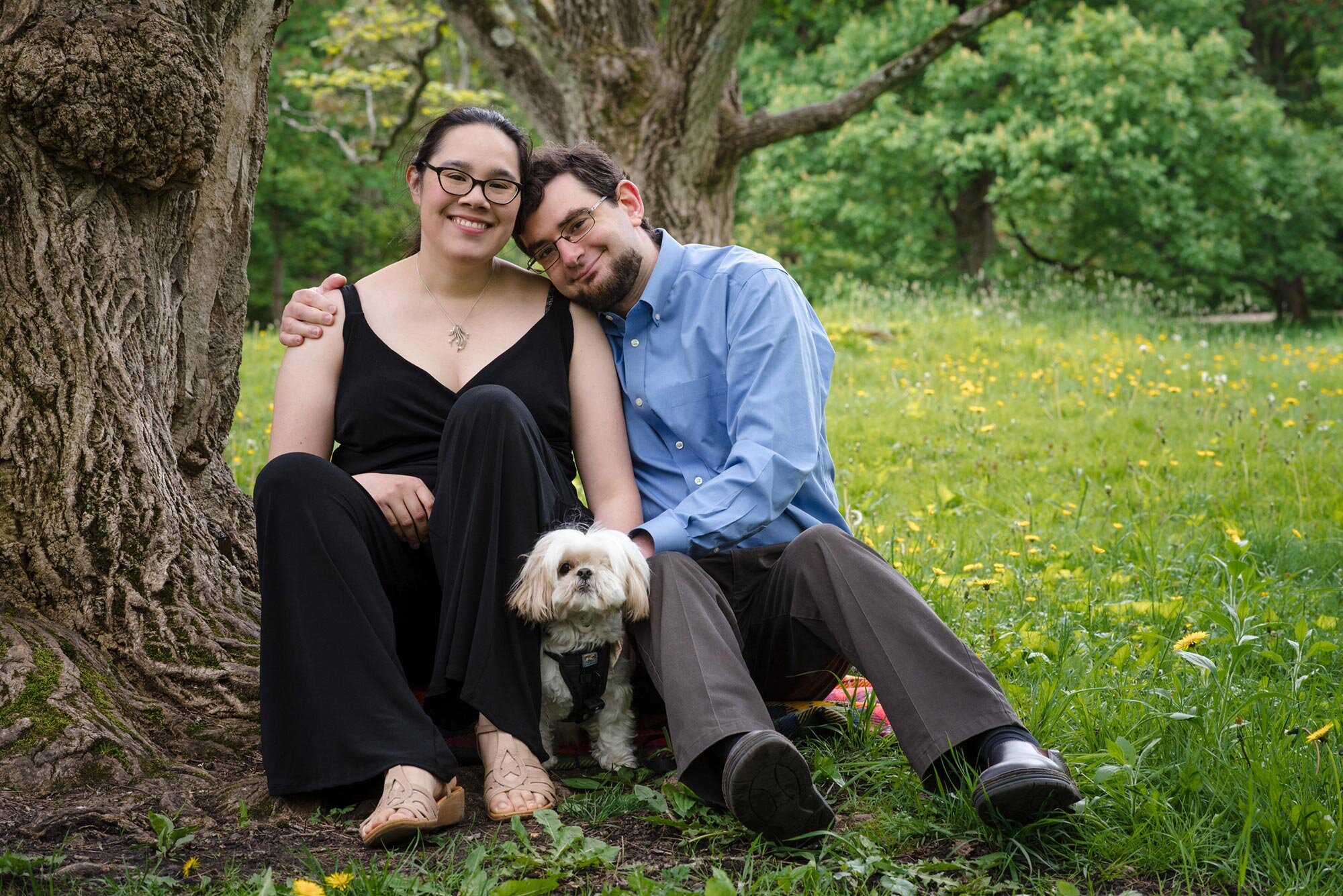 Couple and their pet dog sit together under tree in Boston park during family session Michelle Schapiro Photography