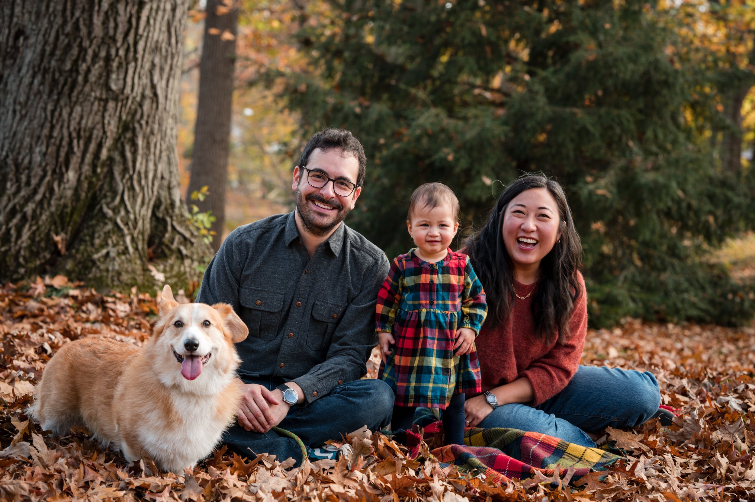 smiling family portrait with a dog and toddler in new england fall foliage by family portrait photographer by Michelle Schapiro Photography