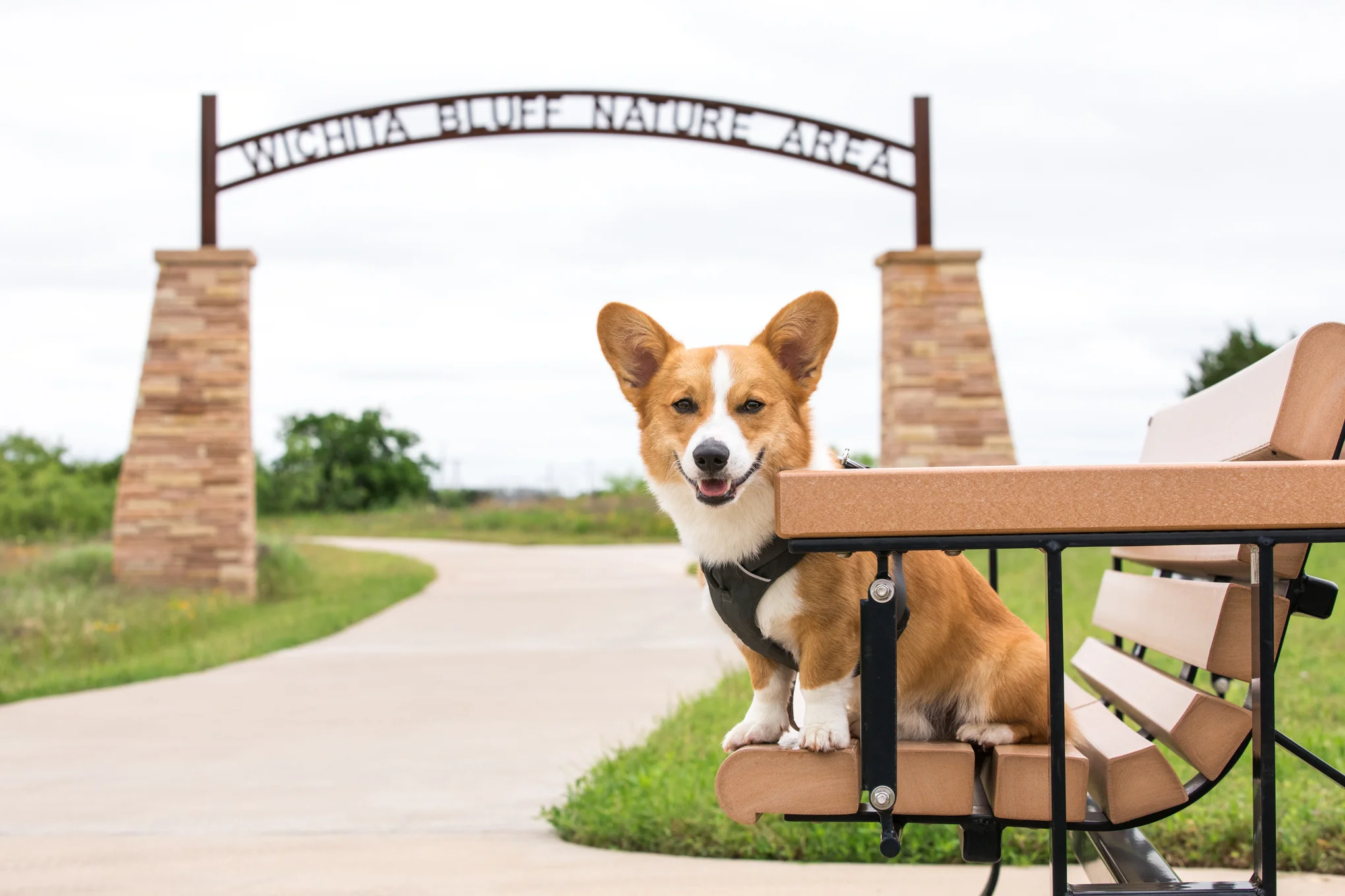 Wichita-bluff-nature-area.jpg
