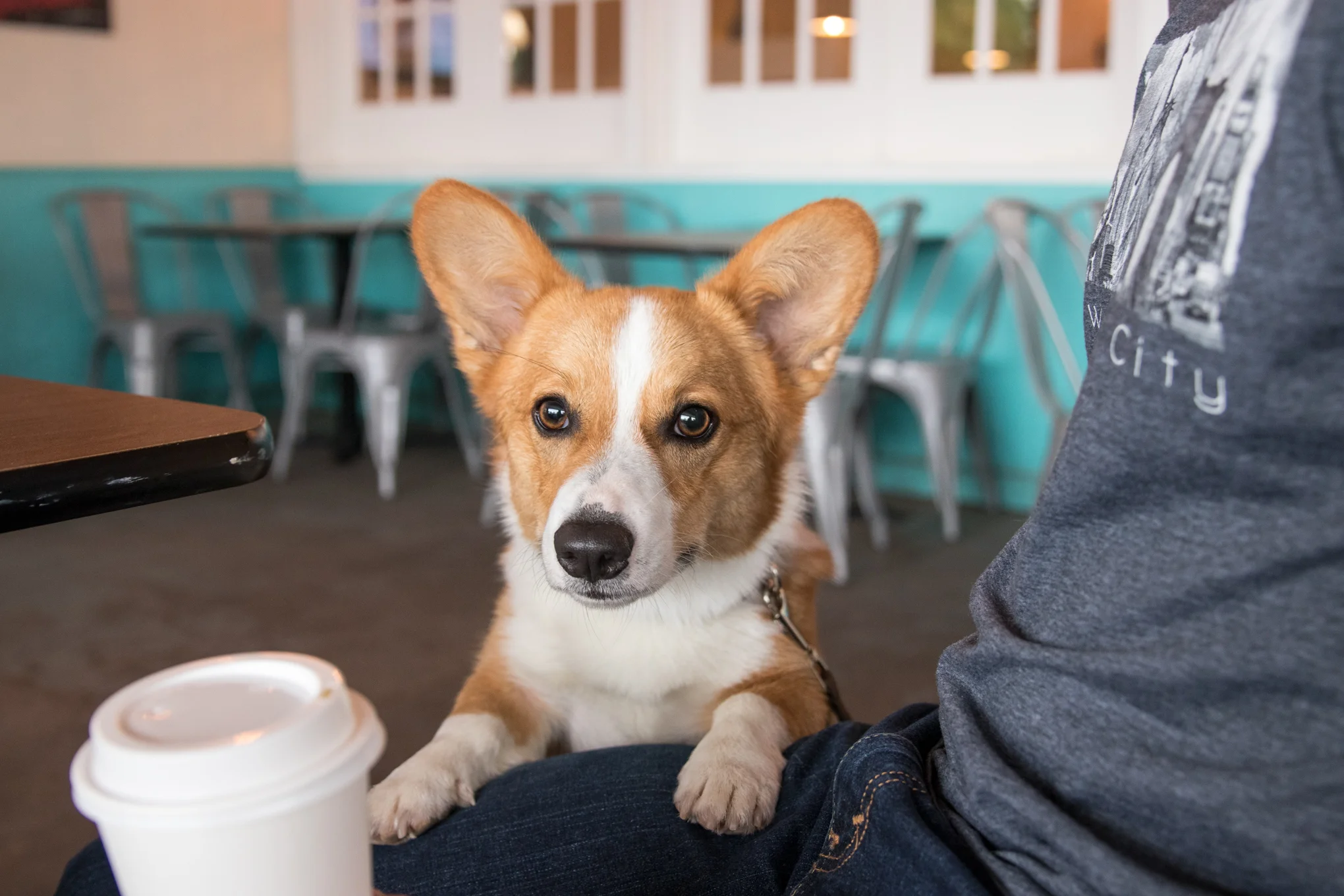 Frank-and-Joes-Coffeehouse.jpg
