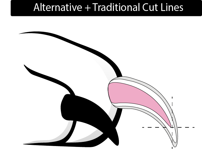 Alternative Cut Line.png