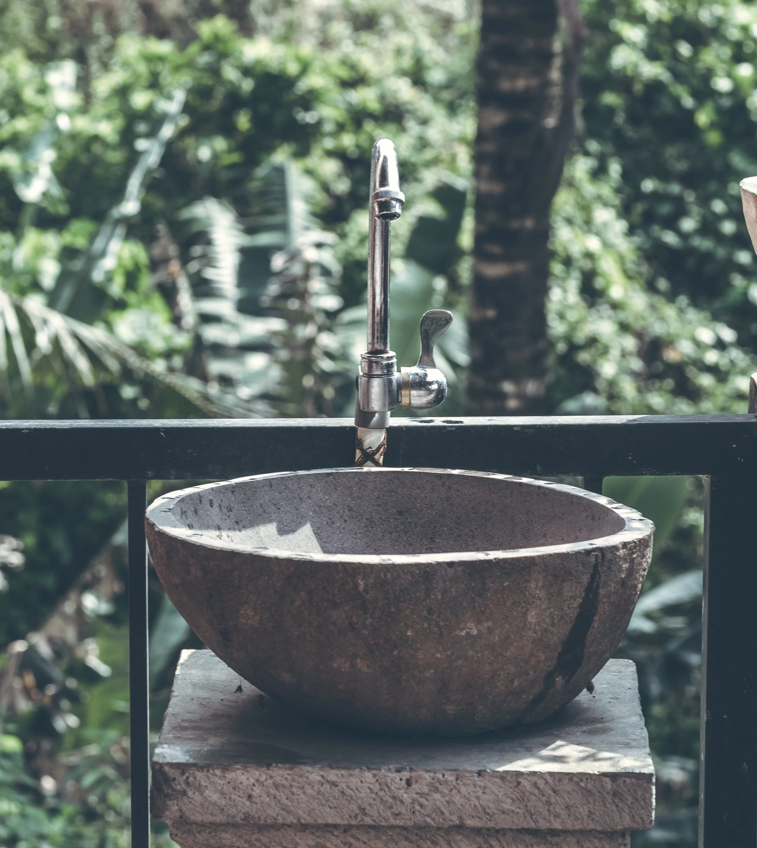 adornment-is-ritual-essential-cleanse.jpg