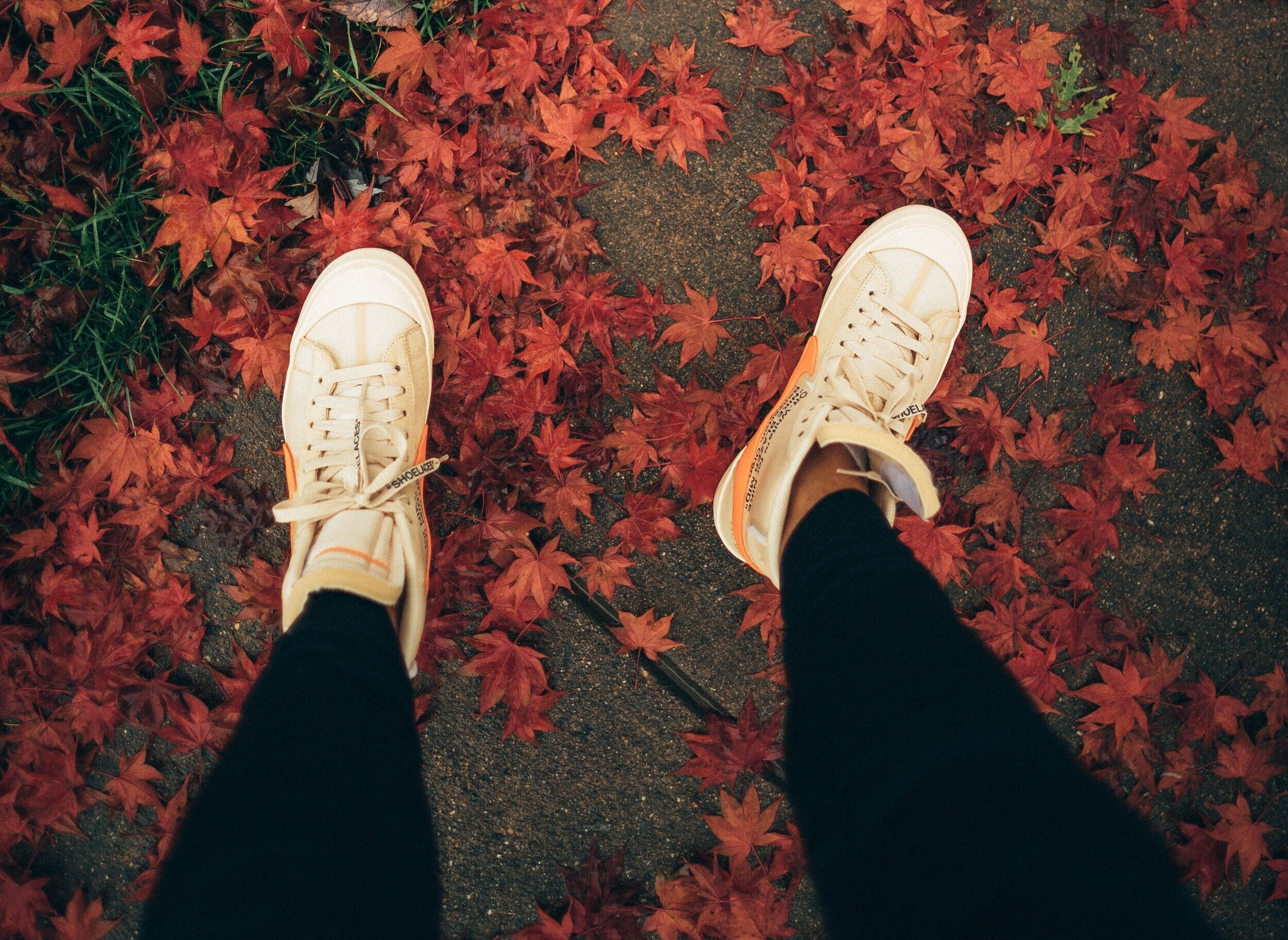 feet+and+leaves.jpg