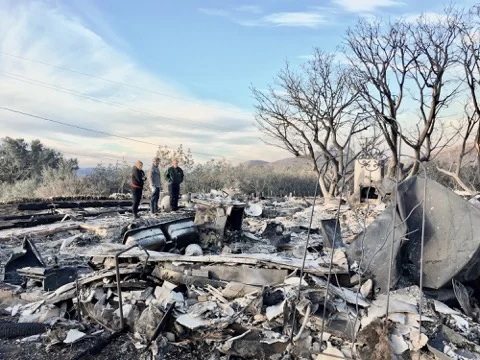 PCBT_02_ANDREW LAENEN PHOTOGRAPHY.jpeg