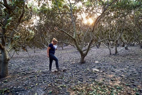 PCBT_10_ANDREW LAENEN PHOTOGRAPHY.jpeg