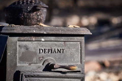 PCBT_13_ANDREW LAENEN PHOTOGRAPHY.jpeg