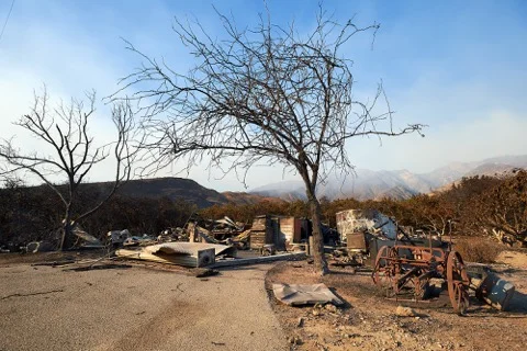 PCBT_22_ANDREW LAENEN PHOTOGRAPHY.jpeg