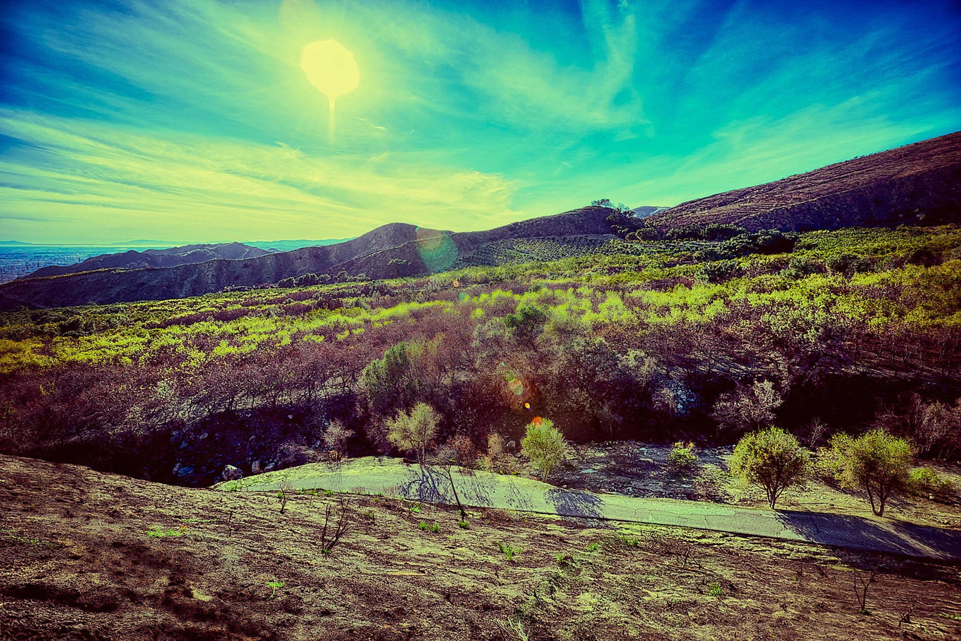 2018_03_07_ElHogar Fire Disaster_2981 1_HDR.jpg