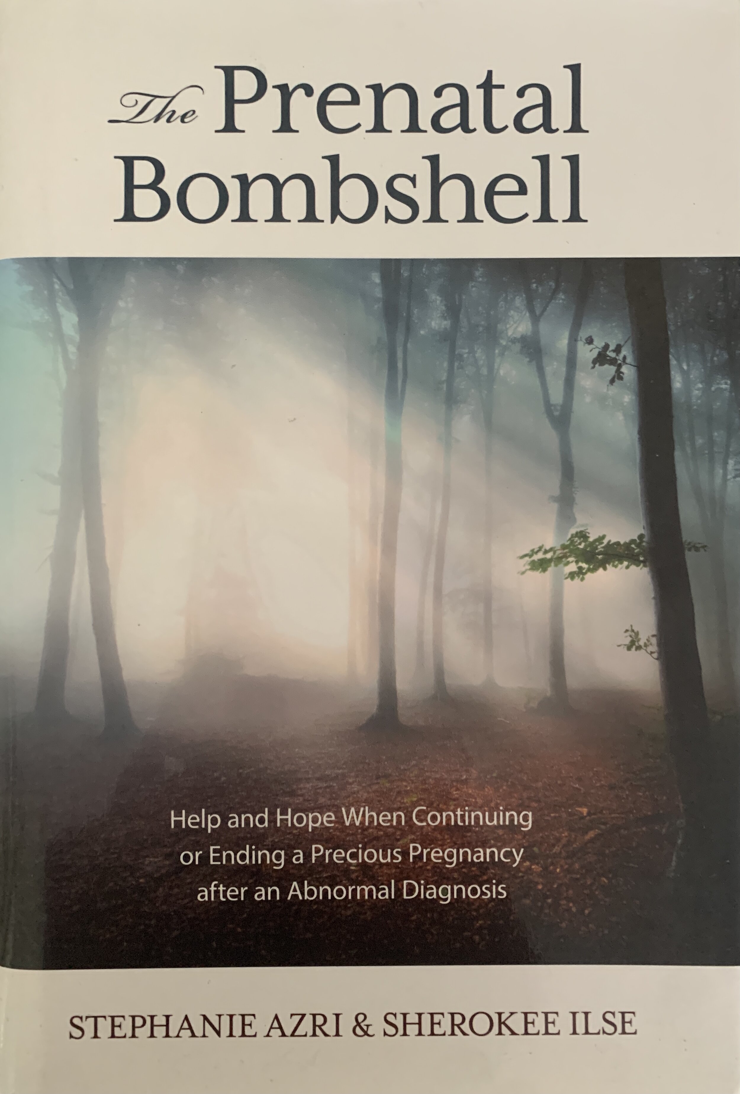 The Prenatal Bombshell (Copy) (Copy)