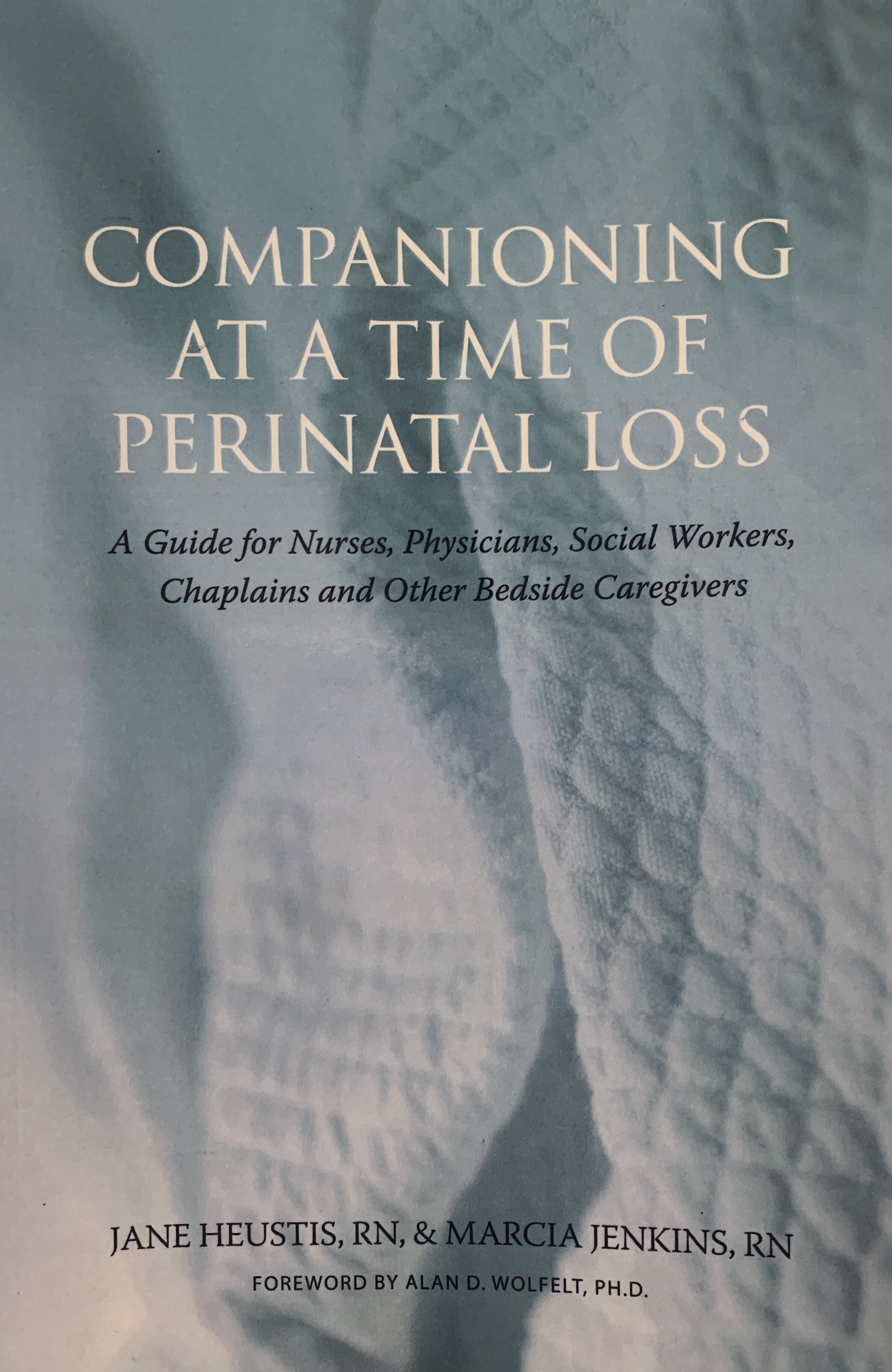 Companioning at a Time of Perinatal Loss: A Guide for Nurses, Physicians, Social Workers, Chaplains and Other Bedside Caregivers (Copy) (Copy) (Copy)