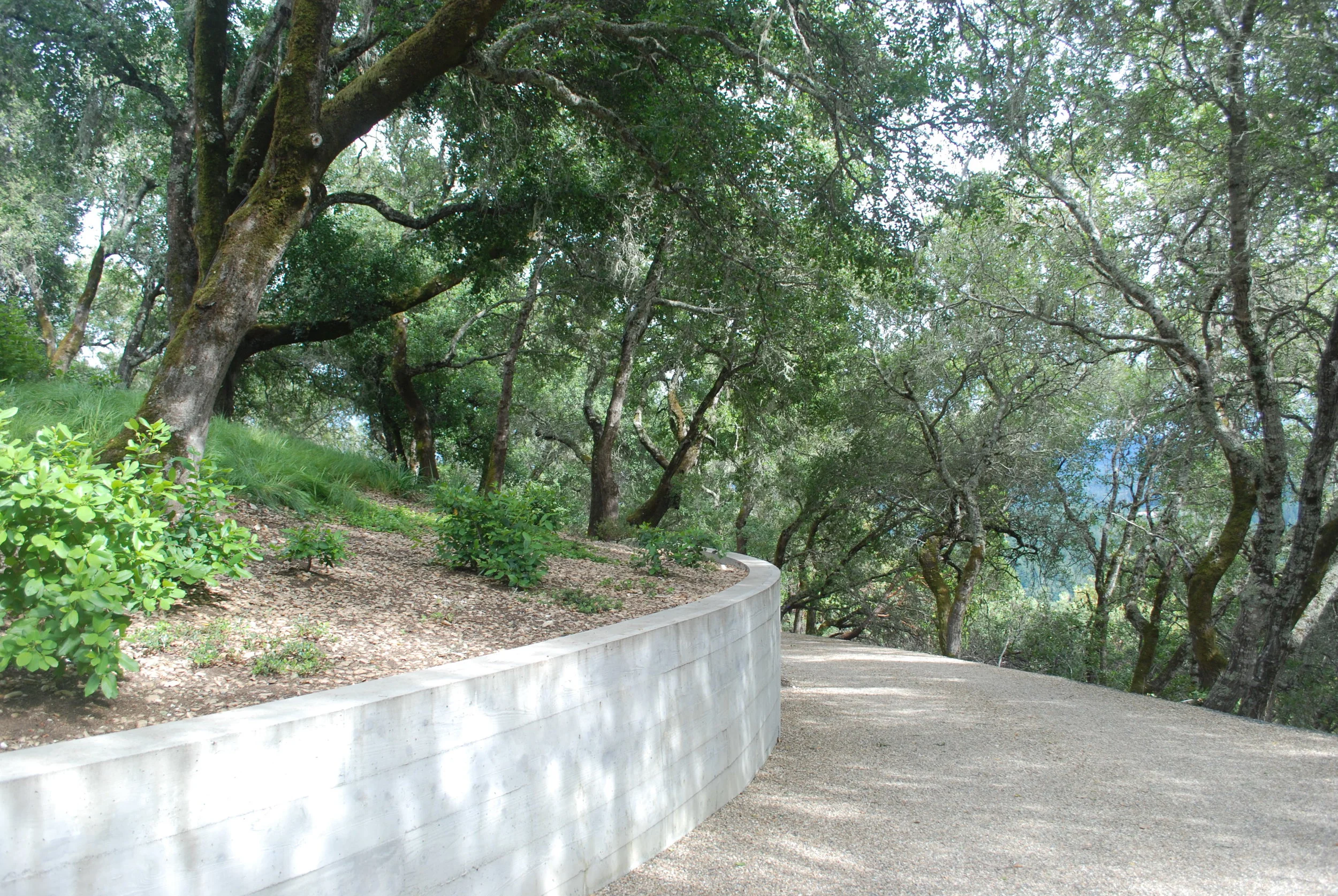 9A Driveway.JPG