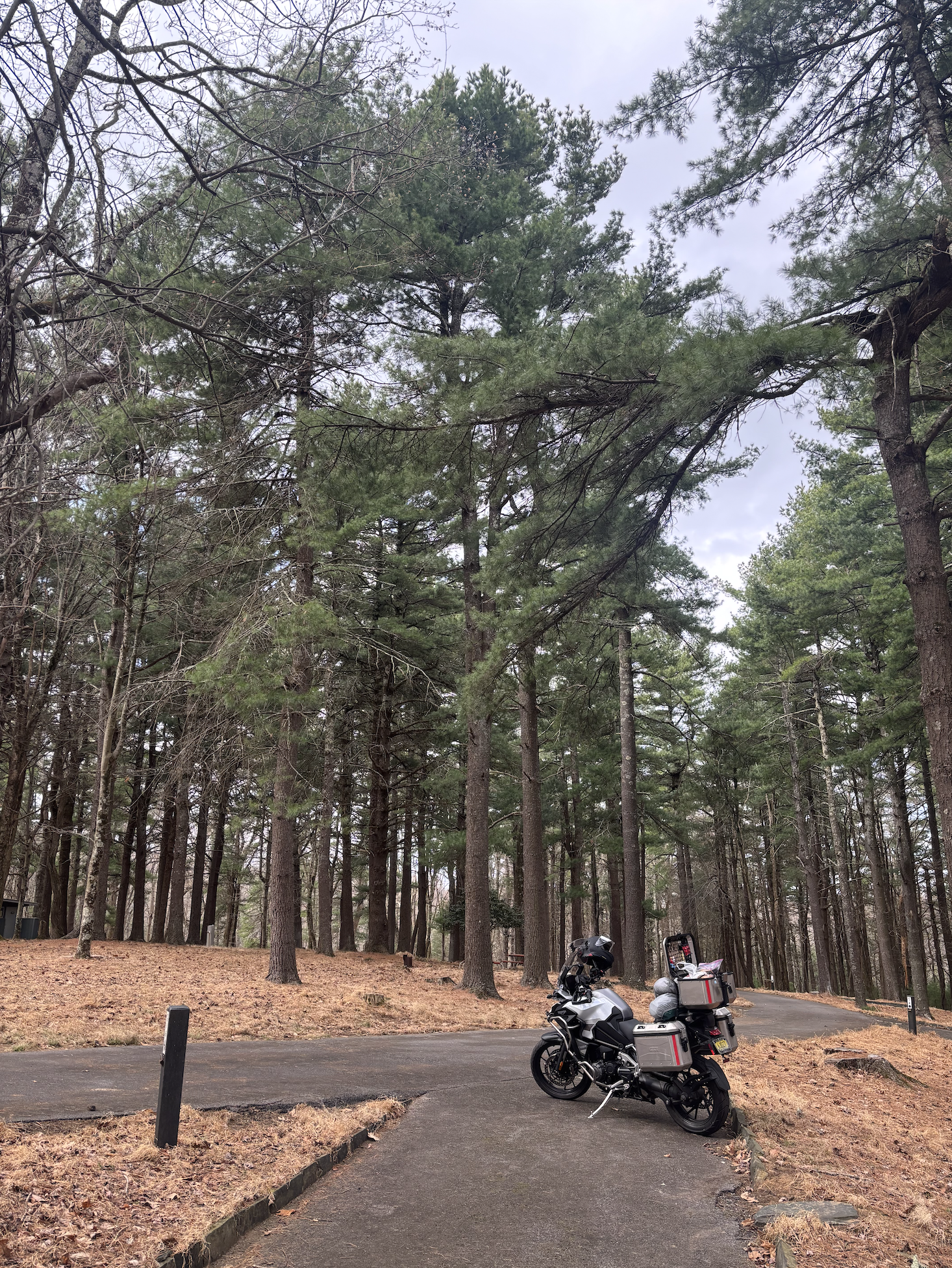 Triumph Tiger 1200 GT Explorer in Motocamping on the Blue Ridge Parkway