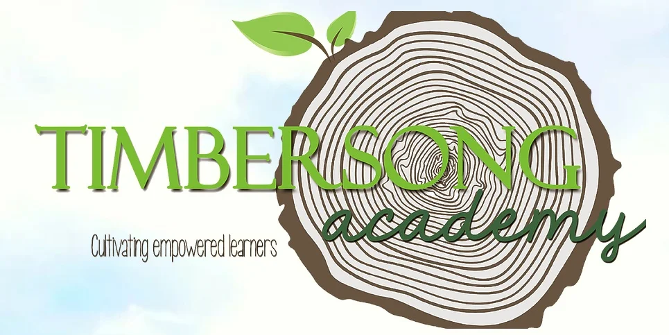 Timbersong Academy logo — Asheville, NC