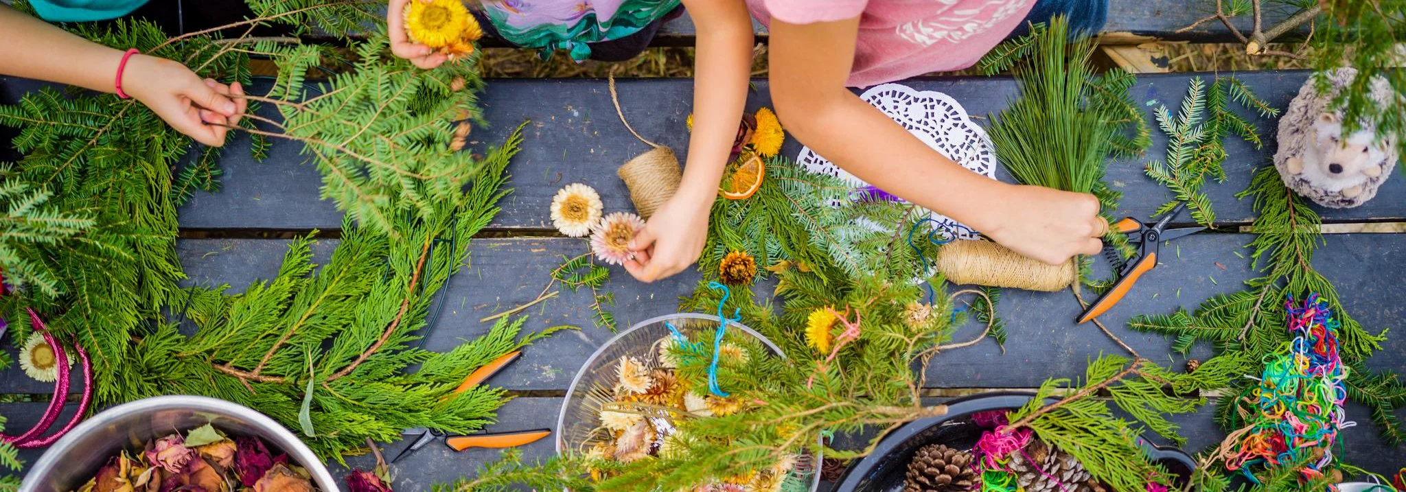 Educational Garden Projects for Canadian Classrooms - Featured Image