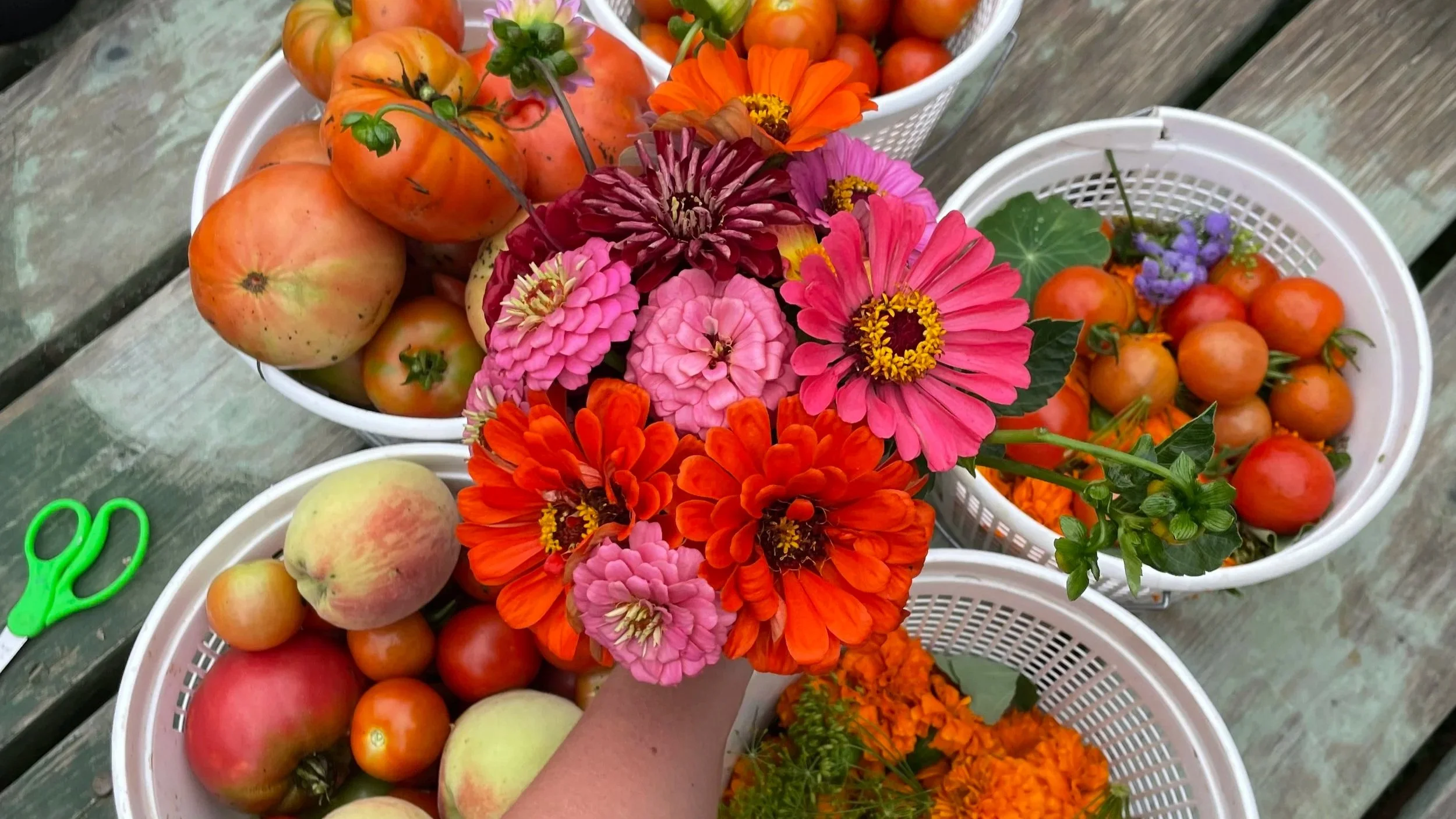 Photo Aug 05 2025, 9 50 58 AM.jpg