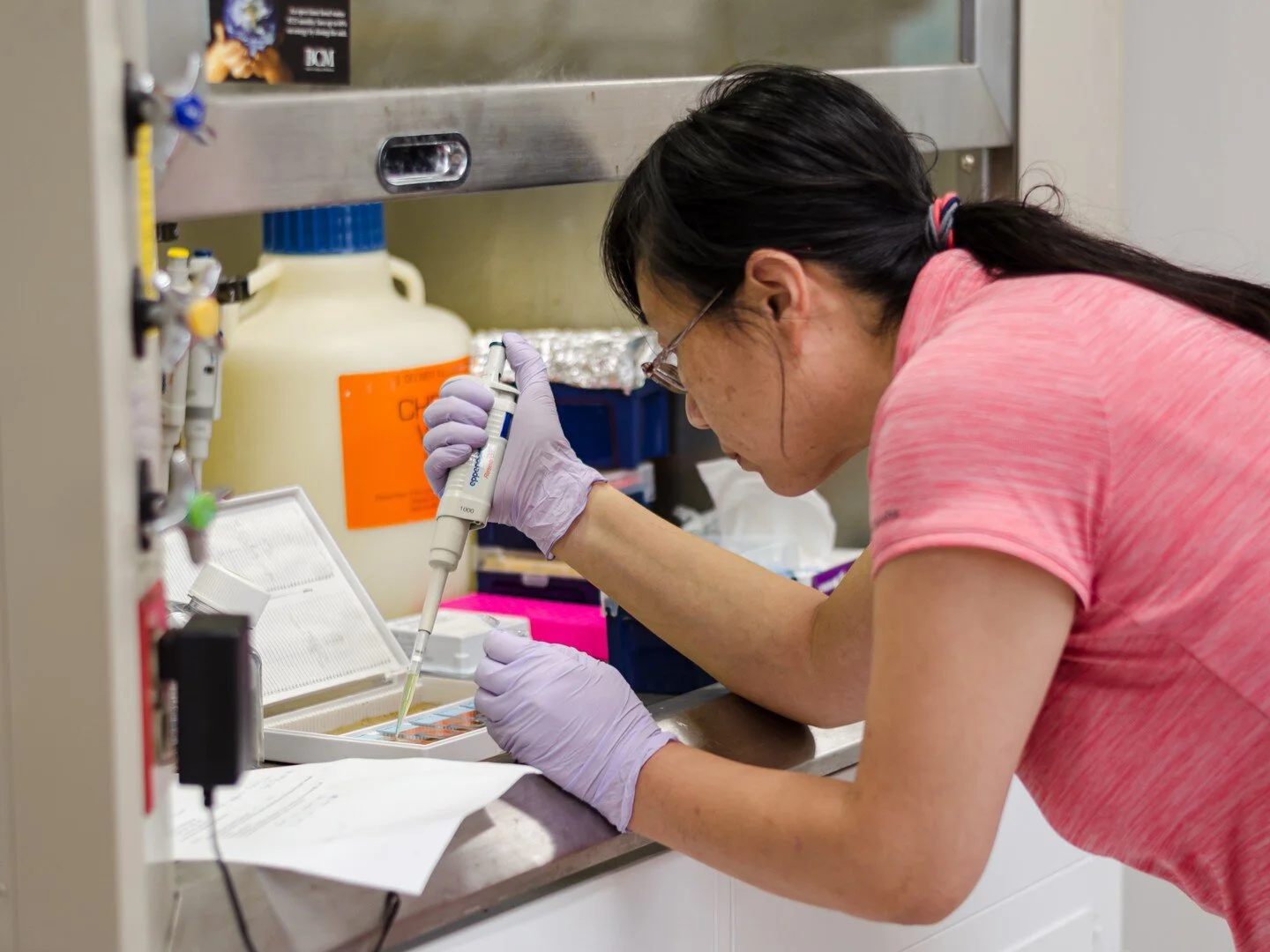 Preparing slides for imaging! 🔬
.
.
.
.
.
#baylorcollegeofmedicine #bcm #houston #fazallab #research #lab #microscope #imaging #cells #science