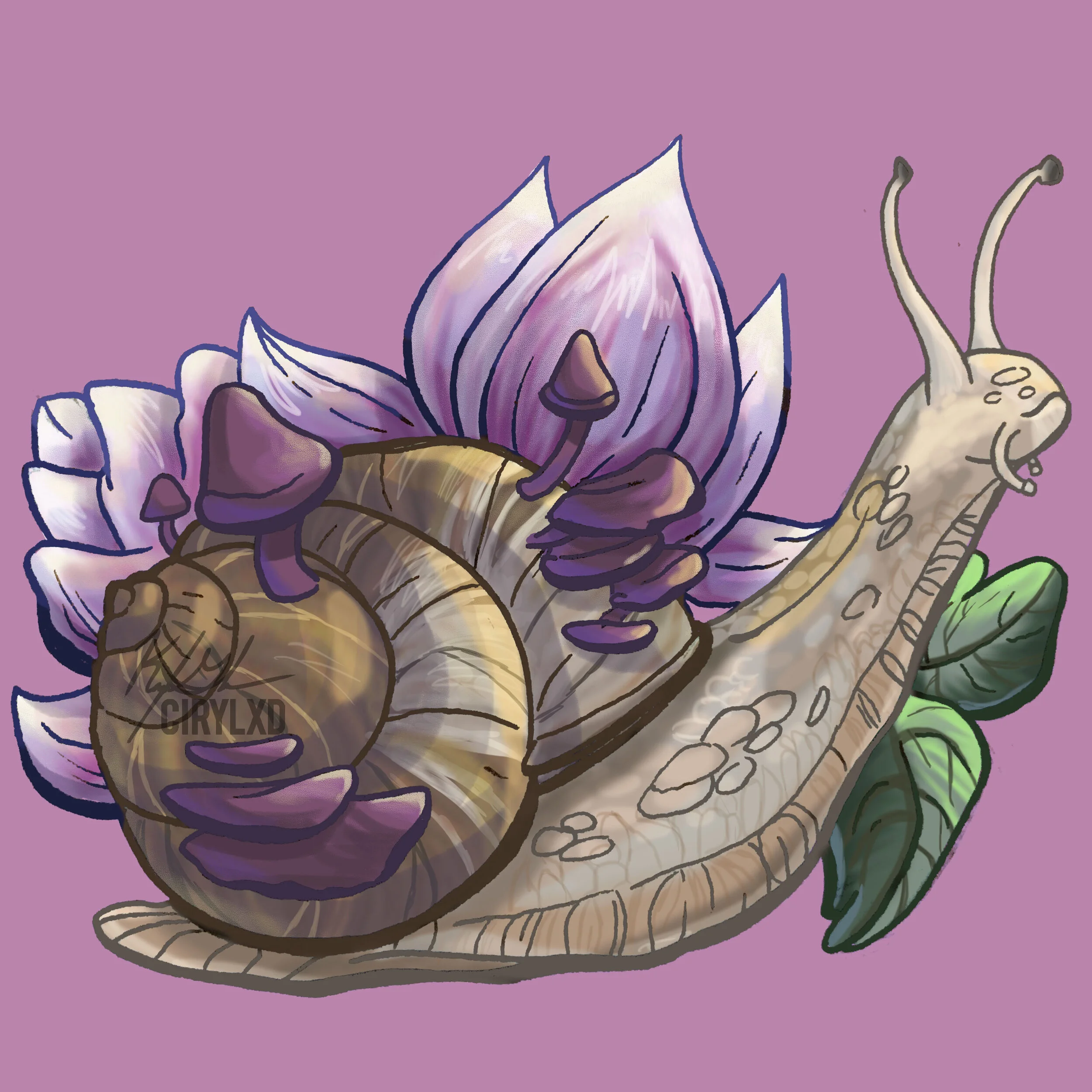 Digital Snail Illustration