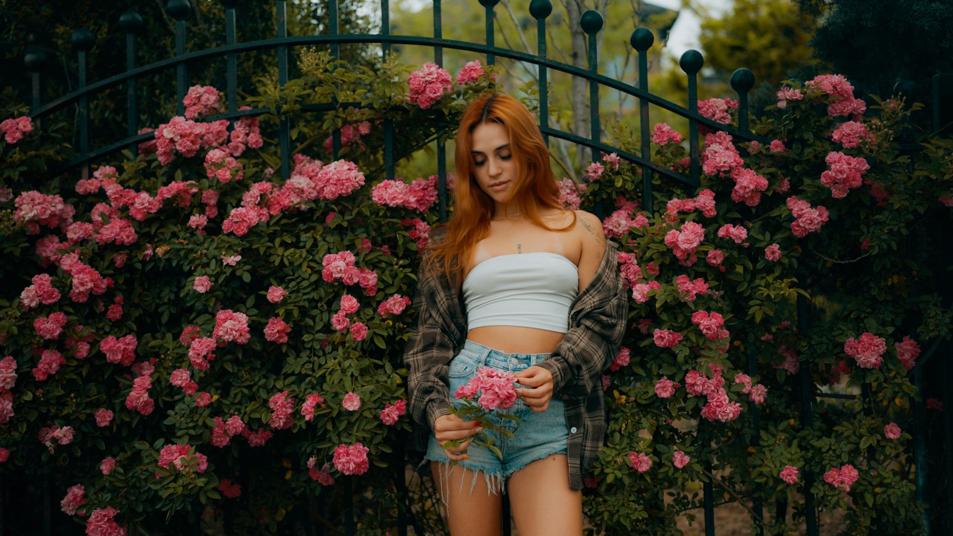 Spring Solitary With Luisa
