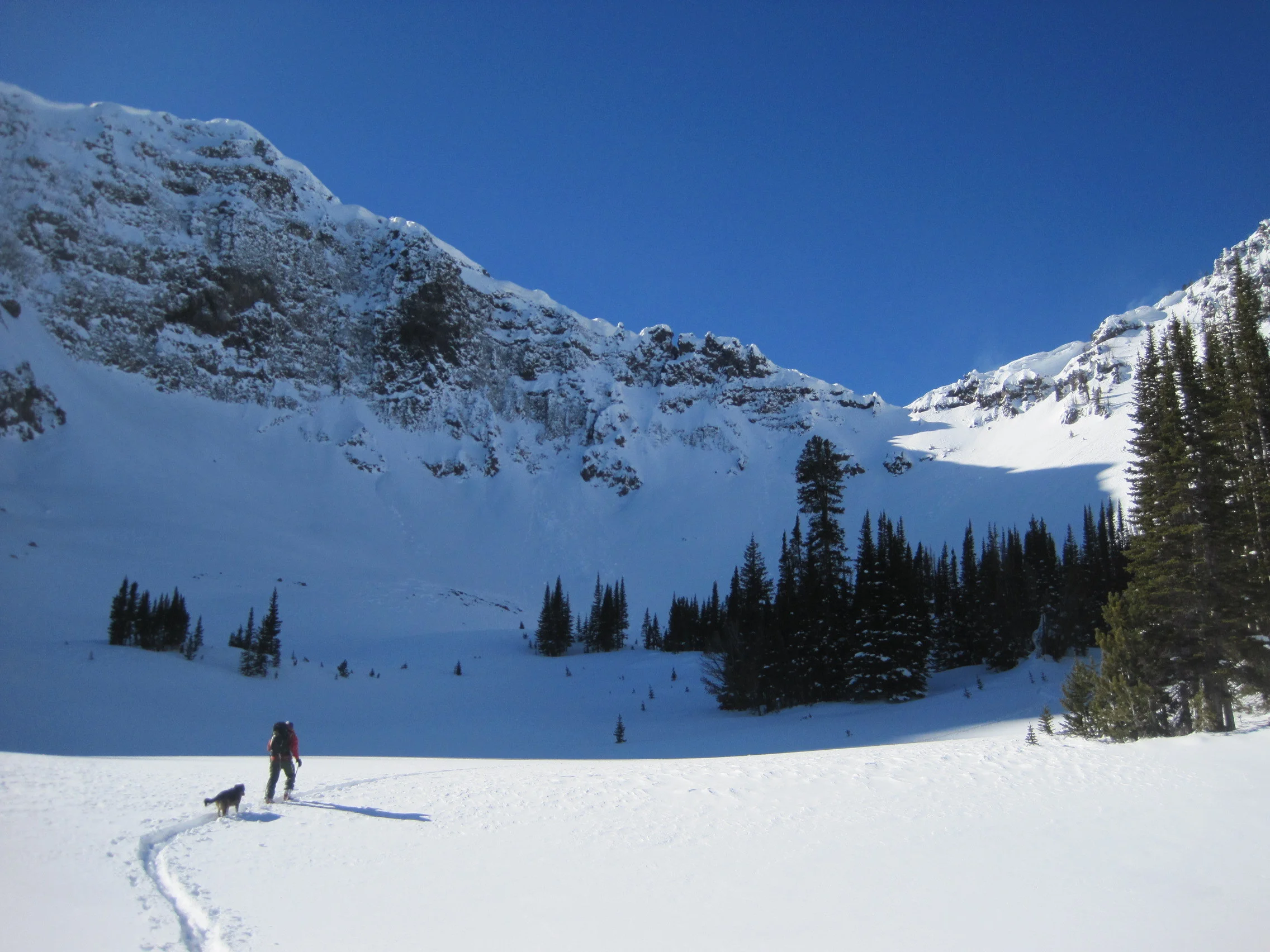 Backcountry Skiing in Hyalite