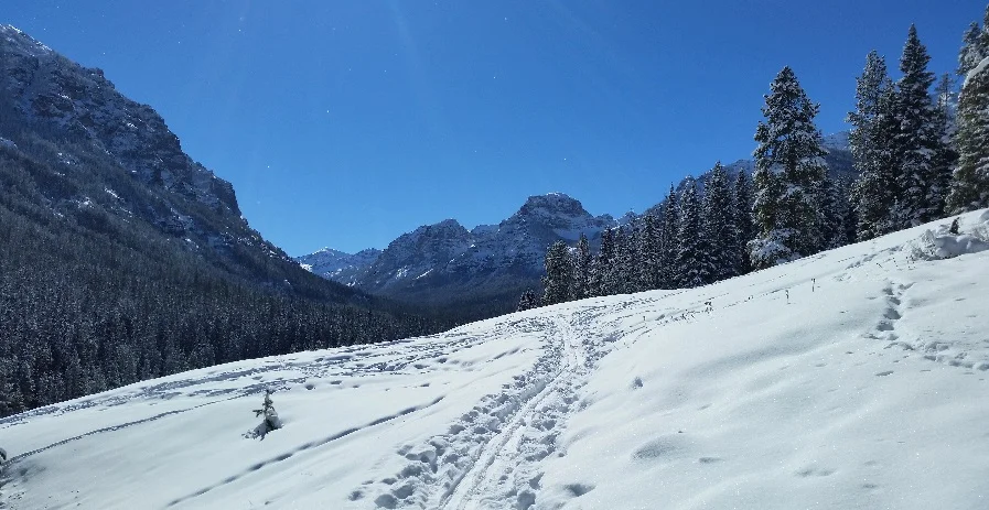 Nordic skiing in Hyalite Canyon