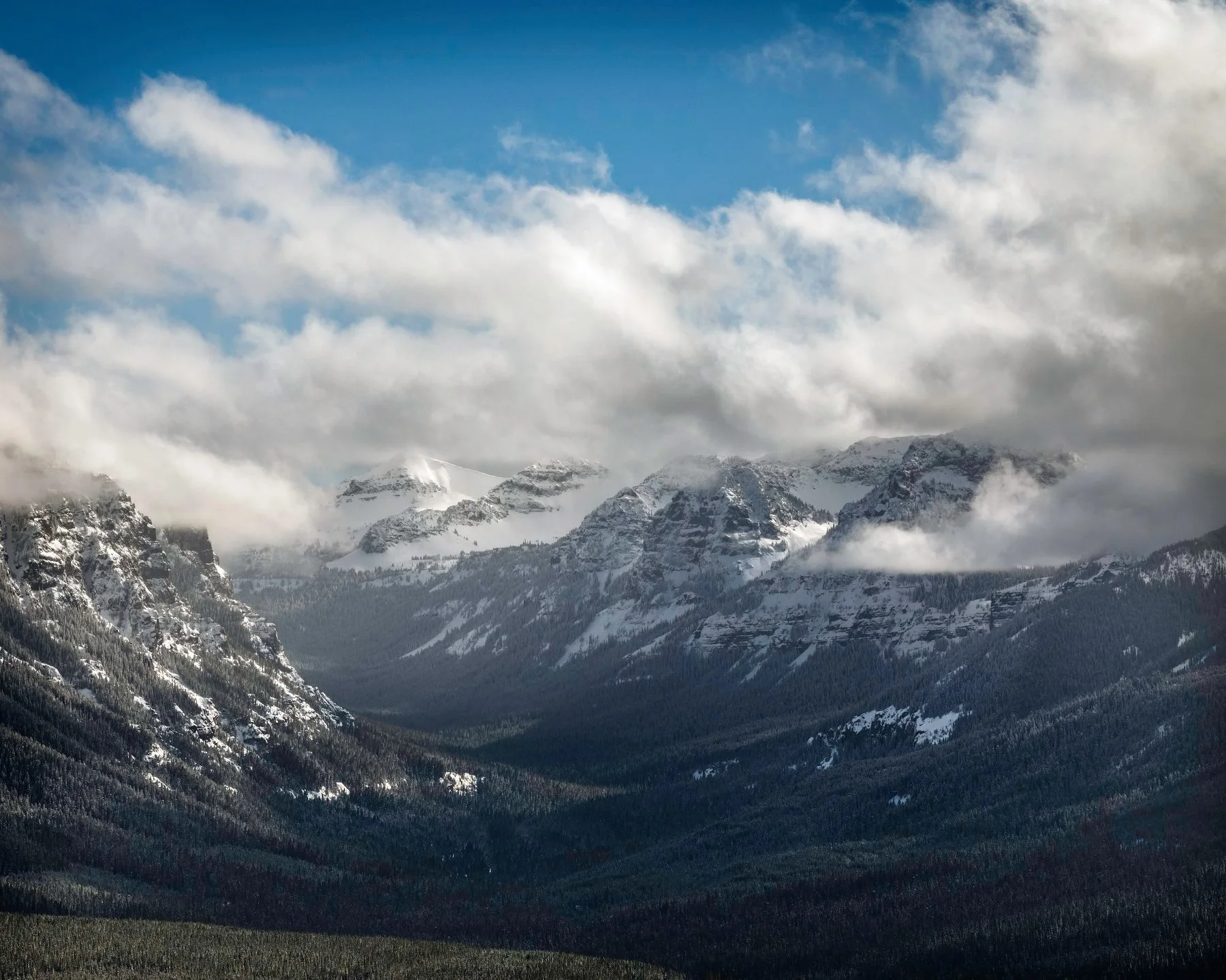 Summer Project Recap