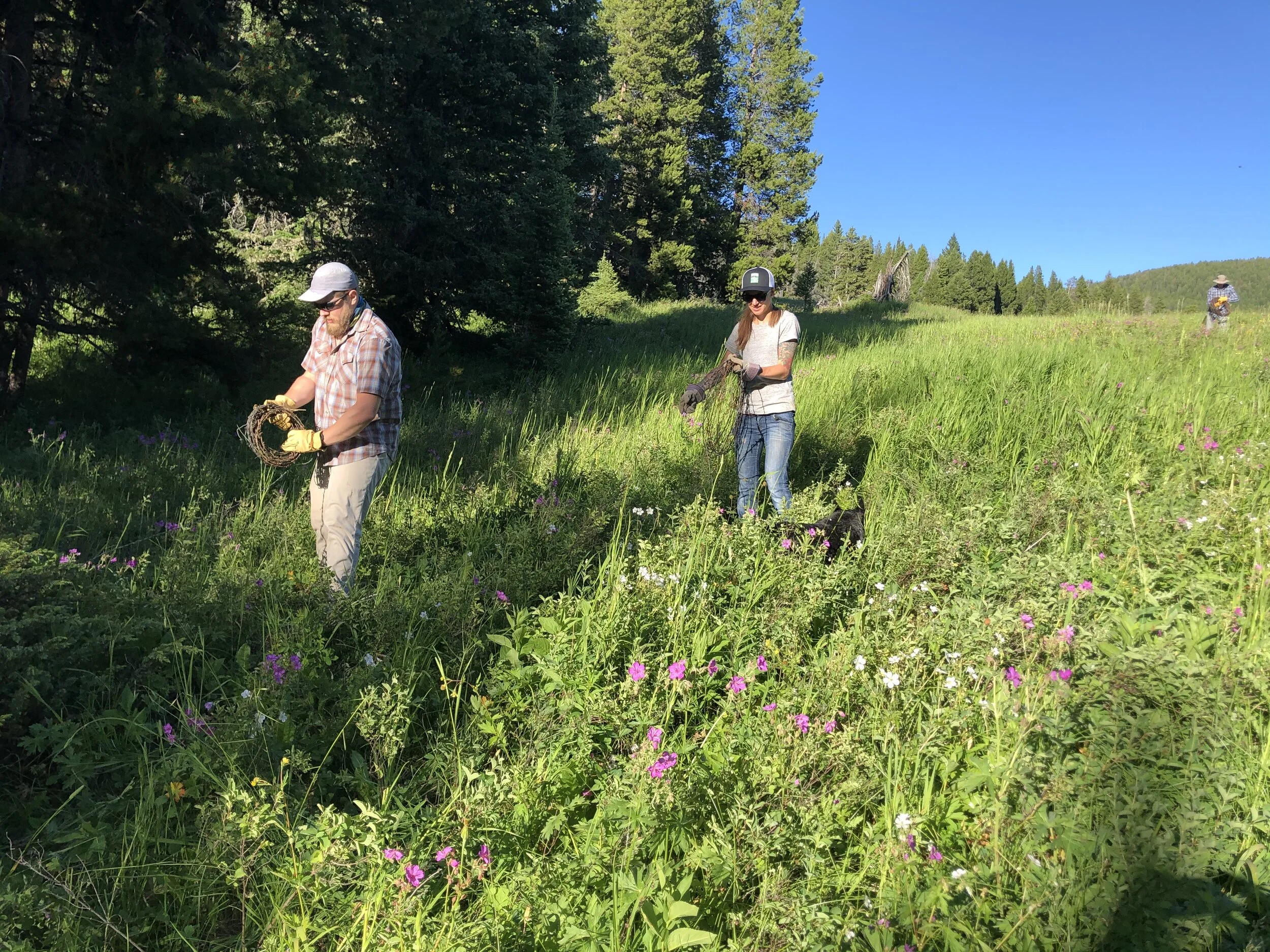 Making Hyalite a safer place